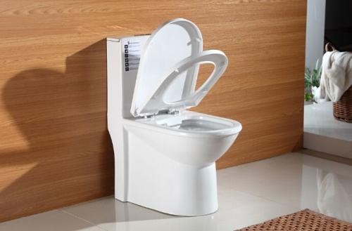 抽水馬桶堵了疏通竅門 抽水馬桶堵了疏通竅門