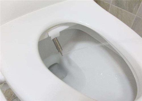 日本馬桶蓋適合在中國用嗎 日本馬桶蓋適合在中國用嗎