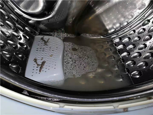 ���½�����ϴϴ�C��˾�����Xһ�__���I(y��)����(w��)